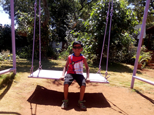 A Big Wooden Swing in the Garden at Hotel Happy Home